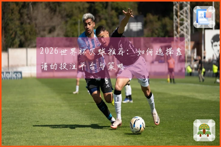 2026世界杯买球推荐：如何选择靠谱的投注平台与策略