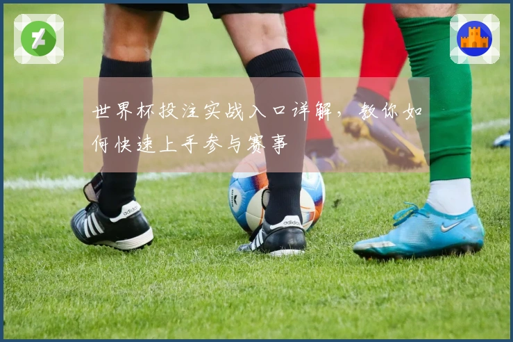 世界杯投注实战入口详解，教你如何快速上手参与赛事