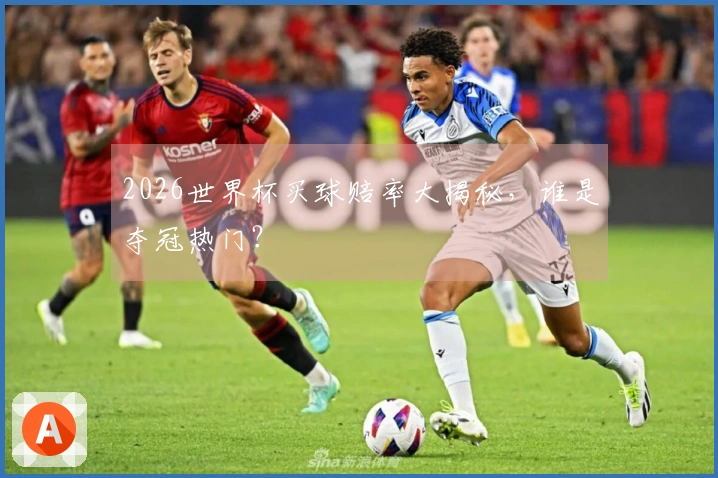 2026世界杯买球赔率大揭秘，谁是夺冠热门？