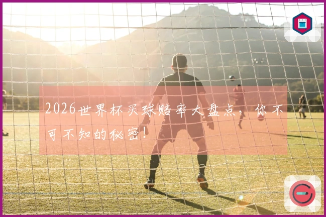 2026世界杯买球赔率大盘点，你不可不知的秘密！