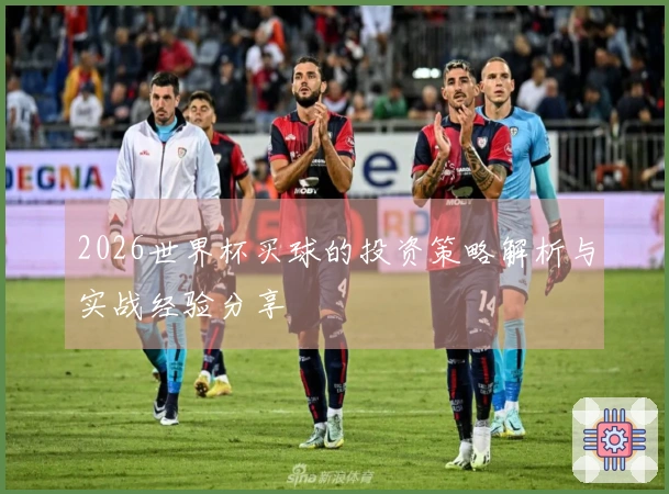 2026世界杯买球的投资策略解析与实战经验分享