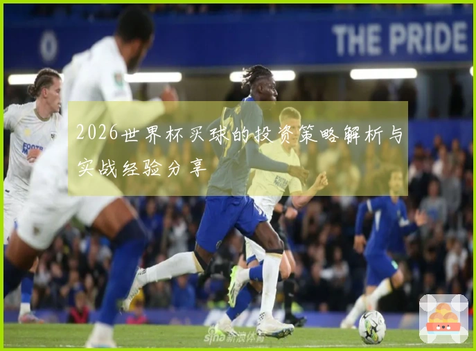 2026世界杯买球的投资策略解析与实战经验分享