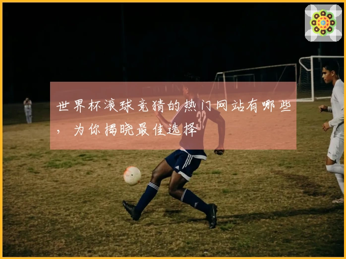 世界杯滚球竞猜的热门网站有哪些，为你揭晓最佳选择