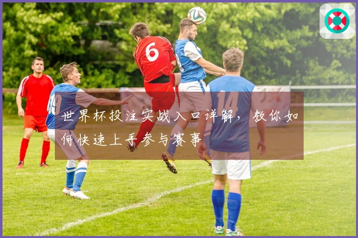 世界杯投注实战入口详解，教你如何快速上手参与赛事