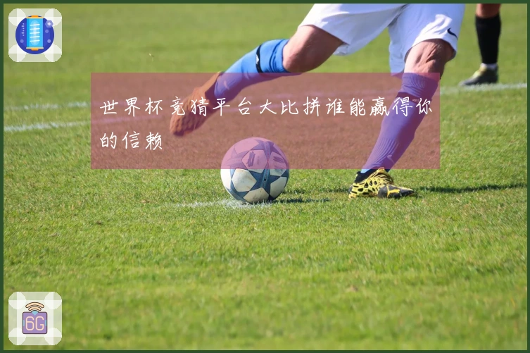 世界杯竞猜平台大比拼谁能赢得你的信赖