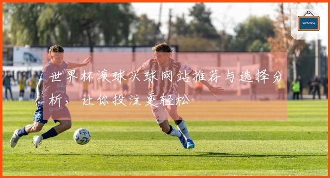 世界杯滚球买球网站推荐与选择分析，让你投注更轻松