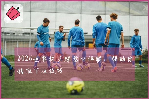 2026世界杯买球盘口详解，帮助你精准下注技巧