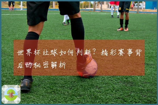 世界杯让球如何判断？精彩赛事背后的秘密解析