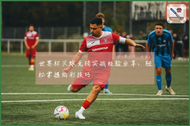 世界杯买球竞猜实战经验分享，轻松掌握购彩技巧
