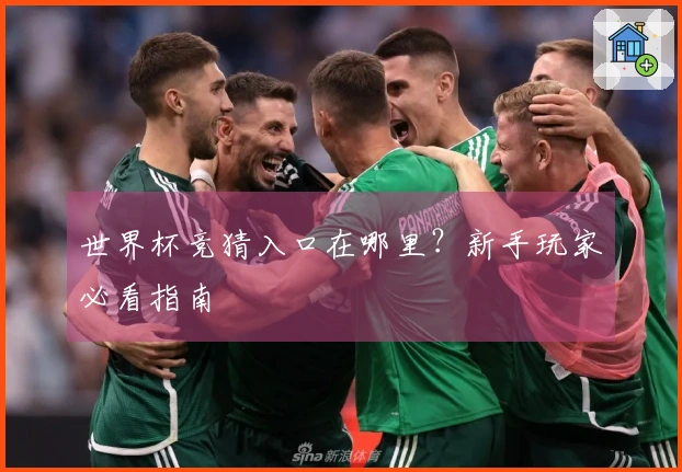 世界杯竞猜入口在哪里？新手玩家必看指南