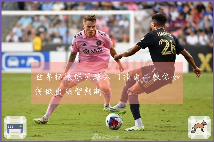 世界杯滚球买球入门指南，教你如何做出明智判断