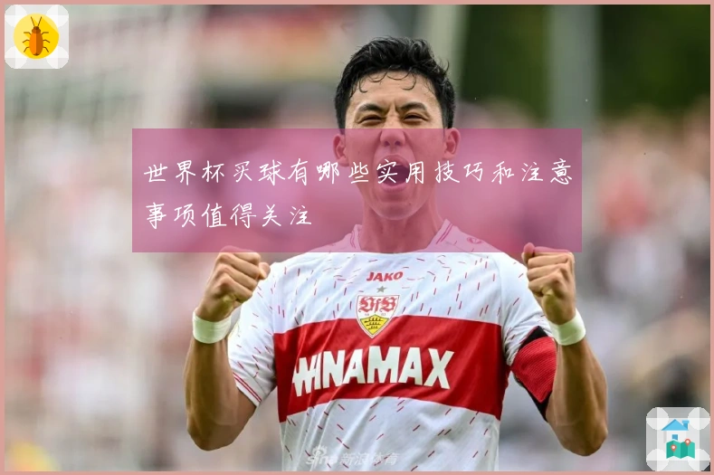 世界杯买球有哪些实用技巧和注意事项值得关注