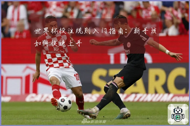 世界杯投注规则入门指南：新手该如何快速上手