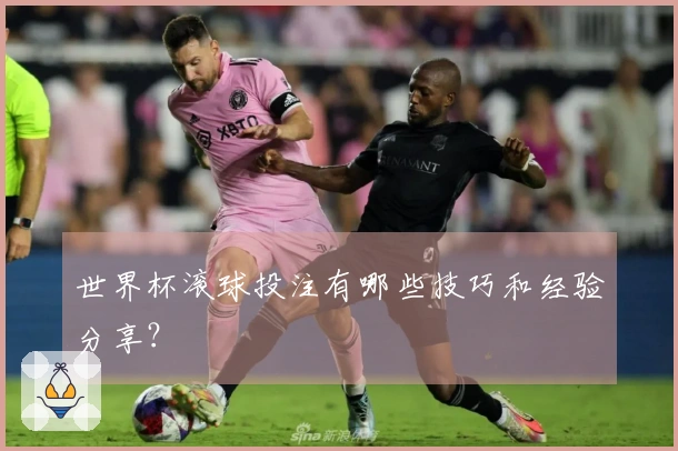 世界杯滚球投注有哪些技巧和经验分享？