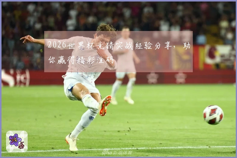 2026世界杯竞猜实战经验分享，助你赢得精彩注码