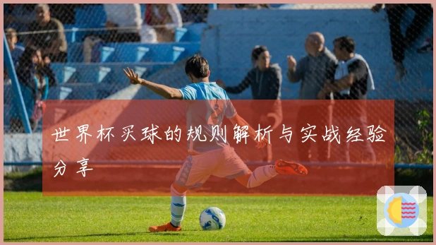 世界杯买球的规则解析与实战经验分享
