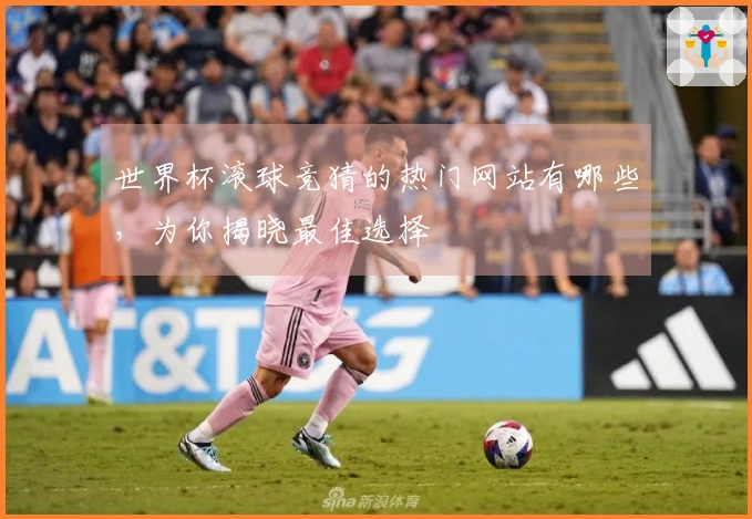 世界杯滚球竞猜的热门网站有哪些，为你揭晓最佳选择
