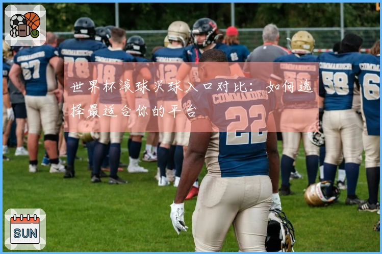 世界杯滚球买球入口对比：如何选择最适合你的平台
