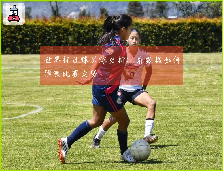 世界杯让球买球分析：看数据如何预测比赛走势