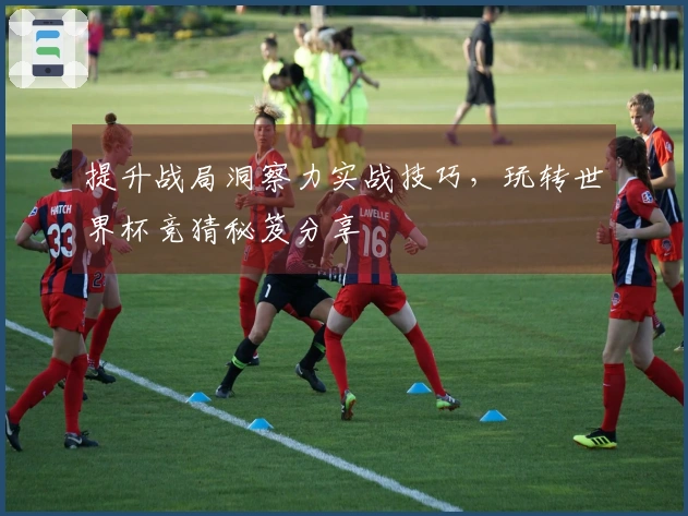 提升战局洞察力实战技巧，玩转世界杯竞猜秘笈分享